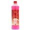 Onderhoudsproduct - SANITARY 21 - 1 Liter Fles