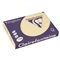 PAPIER COLOR A4 120 gr - Crème Ivoor 1242