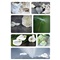STICKERS - " Medeleven - motief 6 "