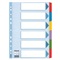VERDEELKAARTEN "MYLAR" KARTON 6 TABS