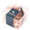 CLIPS & PINS - Set paperclips / klem / pushpins