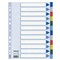 VERDEELKAARTEN POLYPROP 12 Tabs + voorblad
