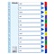 INDEX "MYLAR" KARTON JAN-DEC + VOORBLAD