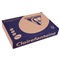 PAPIER COLOR A3 Ft. 160 gr - Zalm 1111