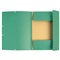 ELASTOMAP 3 kleppen KARTON - Groen