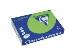 PAPIER COLOR A4 120 gr - Grasgroen 1293 Clairefontaine Trophee - Pak 250 blad