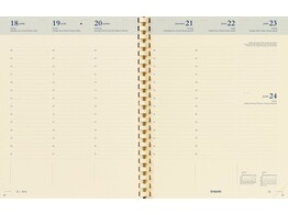 AGENDA SPIRAAL VULLING CONCORDE - 7 Dag / 2 Pag Brepols - Ft. 210 x 270 mm - Creme papier