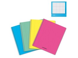 SPIRAALSCHRIFT - Schrift ft - Geruit A5 Aurora - PVC Kaft - 60 Blad - 80 gr