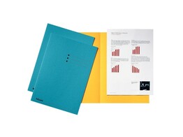 INLEGMAP KARTON 180 gr - Din A4 - ESSELTE OVERSLAG 10