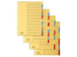 VERDEELKAARTEN KARTON 10 TABS FEL KLEUR