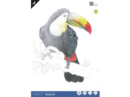 TEKENBLOK 200 gr. - Fijne Korrel - Wit - A3 Ft. Kangaro - Set 20 vel