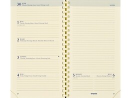 AGENDA SPIRAAL VULLING NOTAPLAN - 7 Dag / 2 Pag Brepols - Ft. 89 x 160 mm