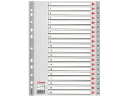 INDEX 1-20 GRIJS PLASTIEK A4   VOORBLAD