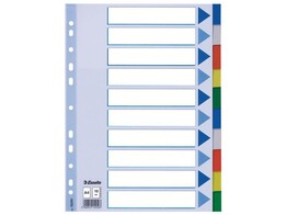 VERDEELKAARTEN POLYPROP 10 Tabs   voorblad Esselte - 115 micron